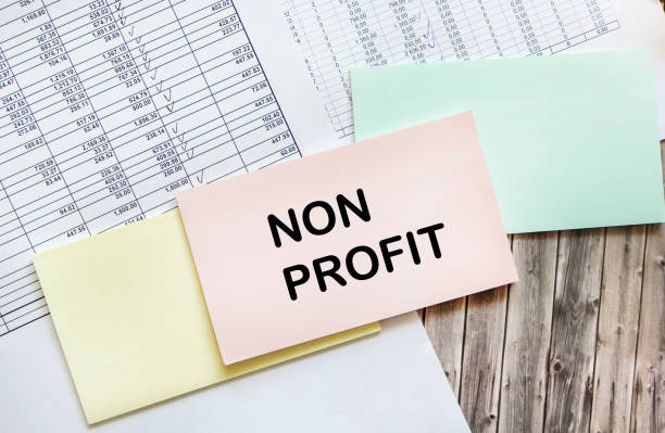 Boost Your Nonprofit's Revenue: Expert Financial Services